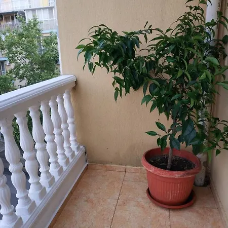 Palmas Апартамент